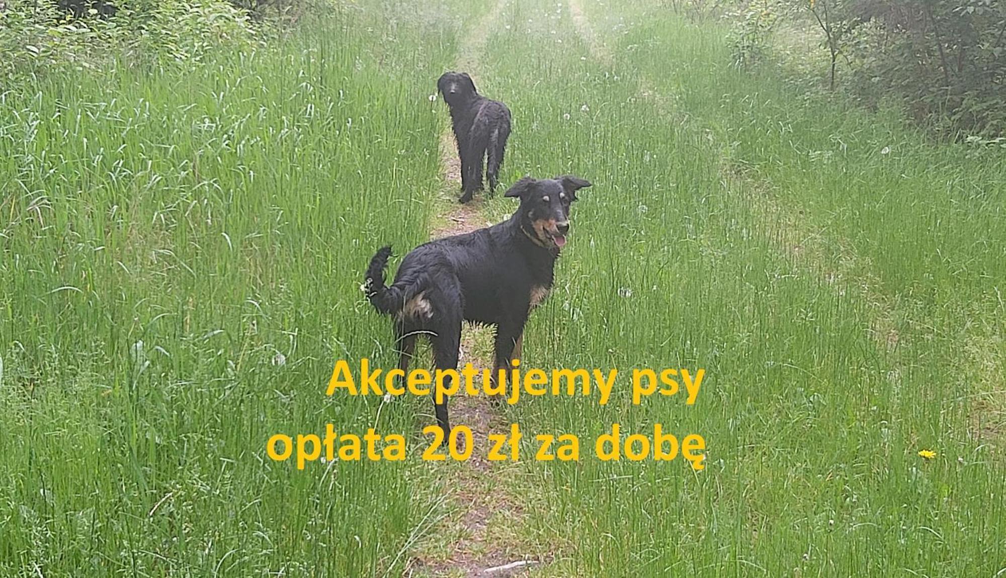 Willa Kacper Władysławowo Exterior foto